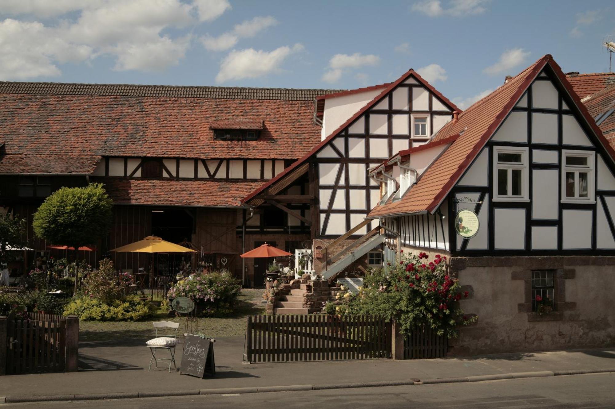 Werts Hof Ferienwohnen Villa Rauschenberg Kültér fotó